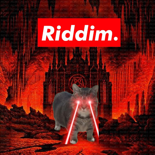 OIIAI RIDDIM🔥💀