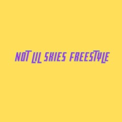 Not Lil Skies Freestyle (prod. razy x platna x timmy)