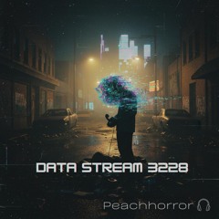 Data Stream 3228