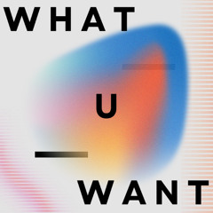 WHAT U WANT [FREE DL]