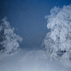 lost in the snow (w/ Ønedream)