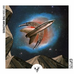 COPY041 Sebastian Dali & David Rausch  ~ Space Between (Original Mix)