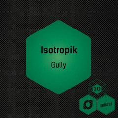 Isotropik - Gully