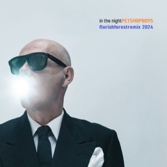 Pet Shop Boys - In the night (Florish Forest Remix 2024)