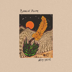 Desert Song