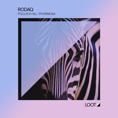 PREMIERE : Rodaq - Pollock Hill (Uone Remix)- Loot Recordings