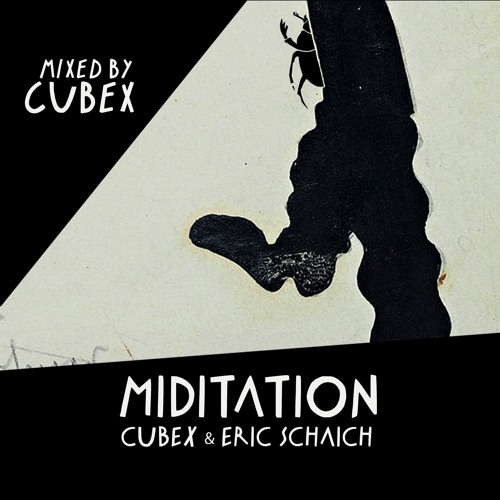 Cubex & Eric Schaich - 𝗠𝗶𝗱𝗶𝘁𝗮𝘁𝗶𝗼𝗻 (𝗟𝗣) ☆ Mixed by Cubex