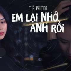 Em lại nhớ Anh rồi - Tuệ Phương | bài hát ru dành cho người thất tình mất ngủ