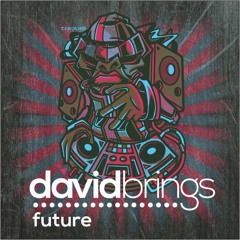 david brings - future