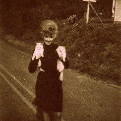 Madness in Memphis | Ruby Donadel