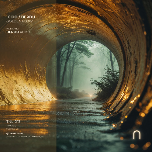 IGCIO - Golden Flow (BERDU Remix)