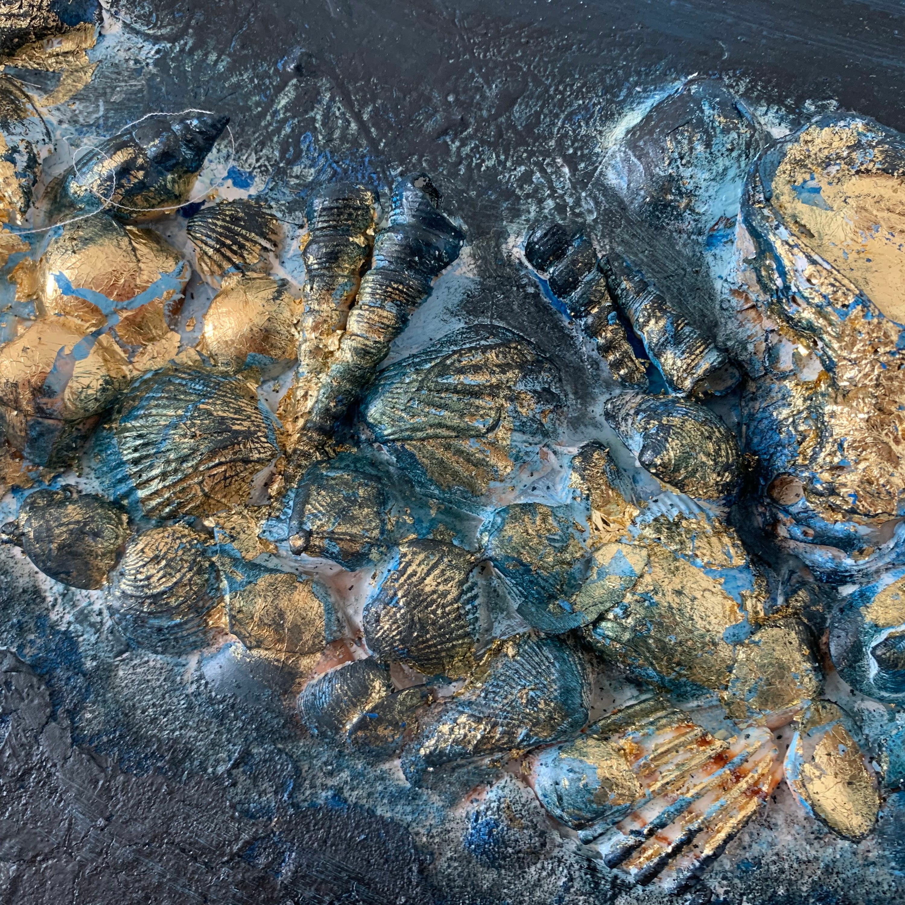 DOLPHINS IN LOVE 2022