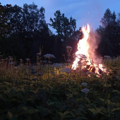 The Fires Burn Still (single)