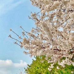 너의 아침 Your Morning (2019)