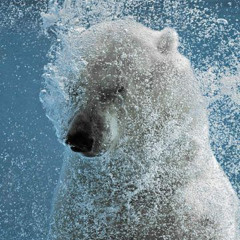 WOAH WOAH (ft. cou6e)