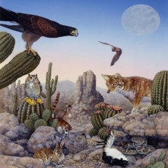 Desert Space Blues Ballad