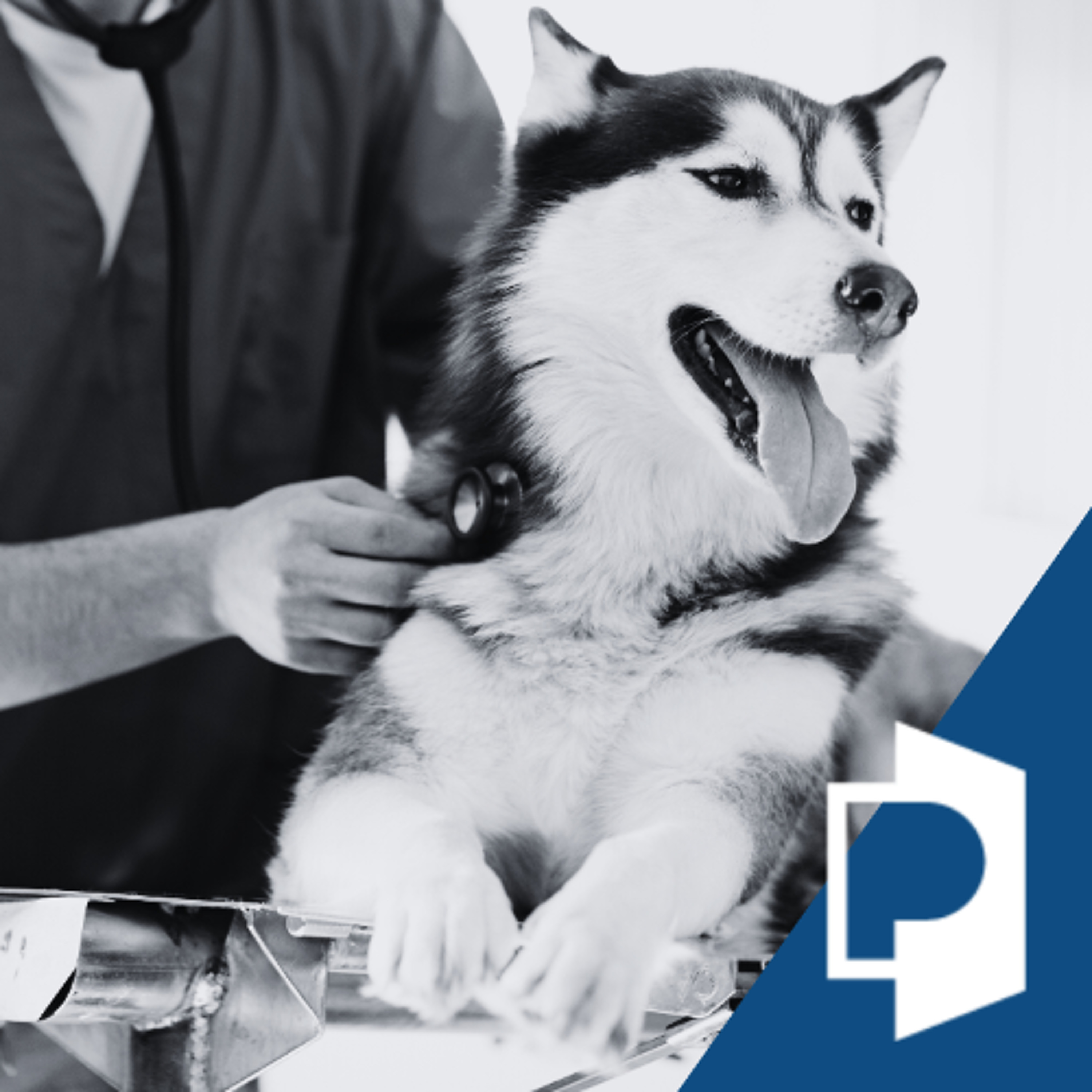 Fostering Conversations