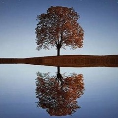 Reflections