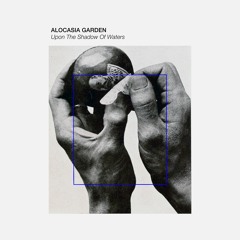 Alocasia Garden - Upon The Shadow Of Waters