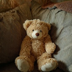 Teddy on the Couch!©️.mp3