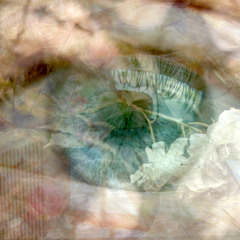 Parking Lot Fairytale