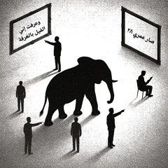 صار عمري ٢٨.. وعرفت إني الفيل بالغرفة