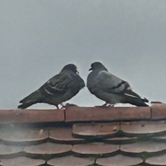 Dancefloor Heater // Free DL