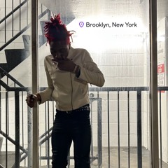 L1FE