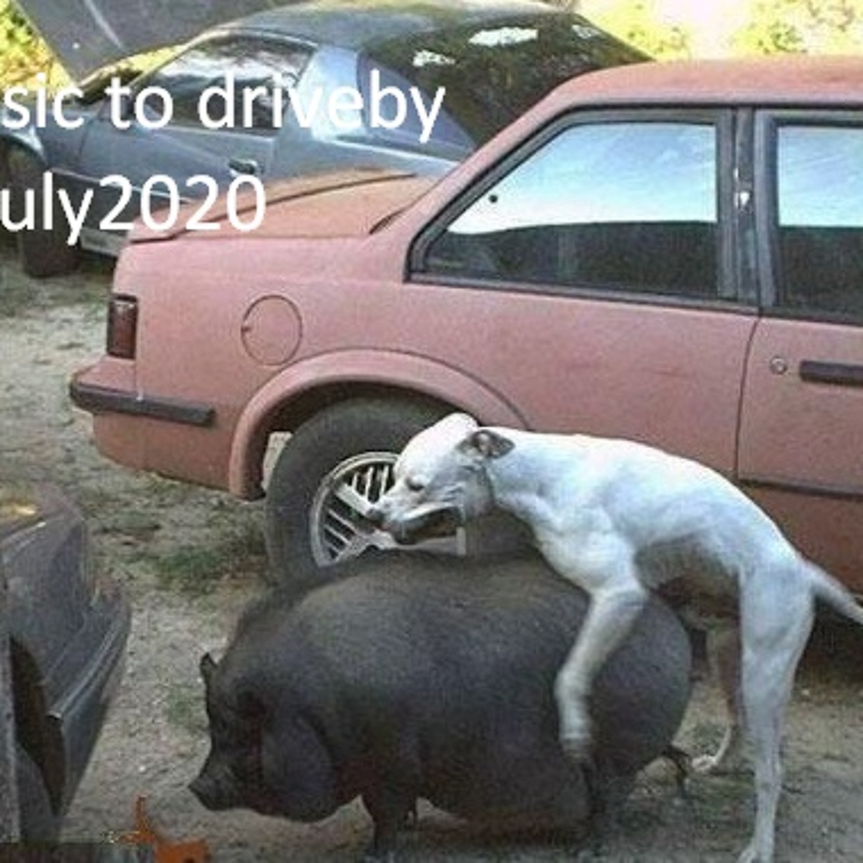 for the funky walkers and dirty talkers..