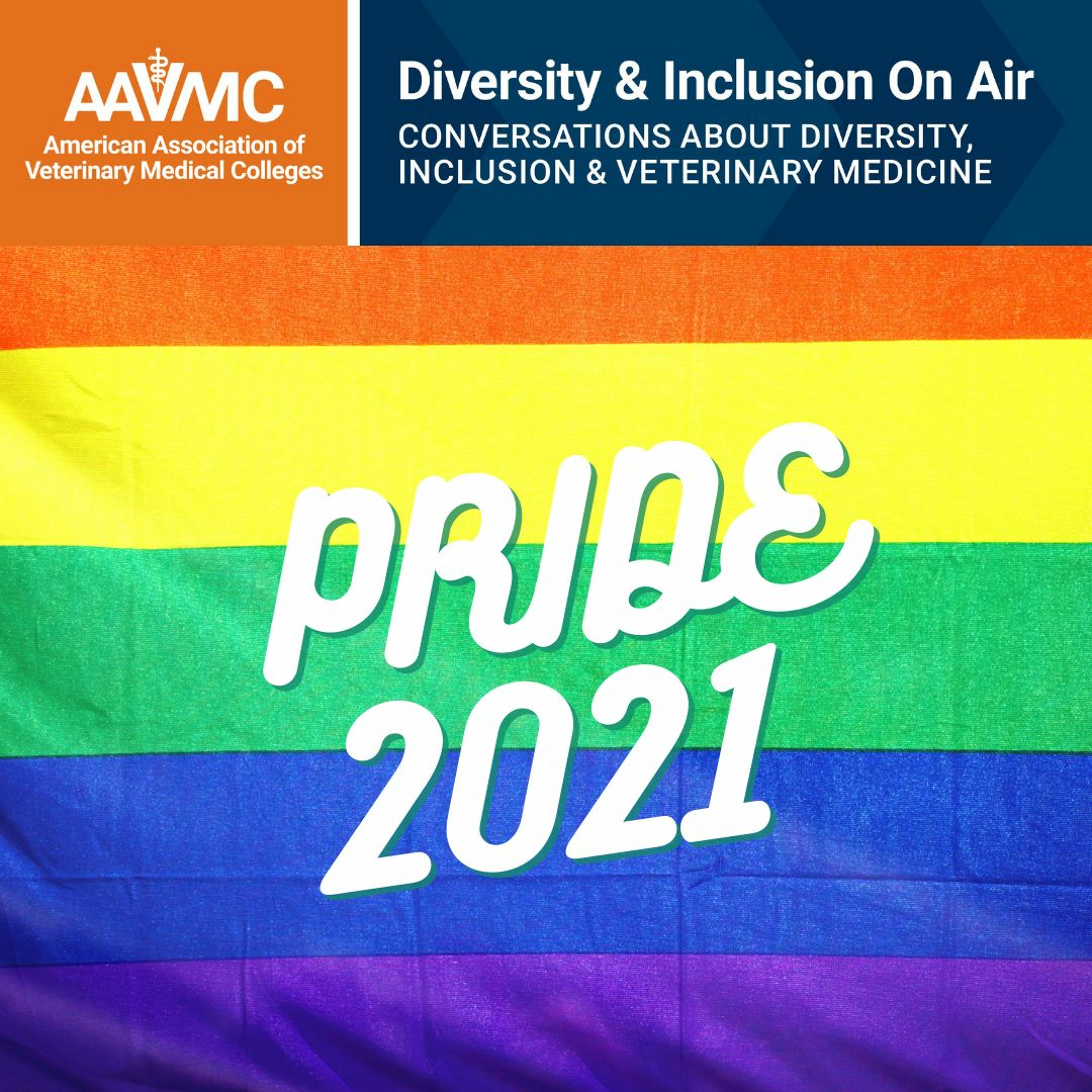AAVMC\'s On Air: Conversations about Issues in Veterinary Medicine