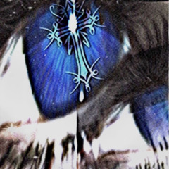 Torn remains ft. Vails
