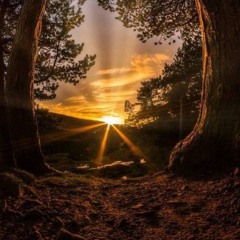 Heal the light
