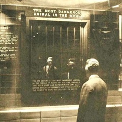 FOR GLORY (Prod. Crwdxd)