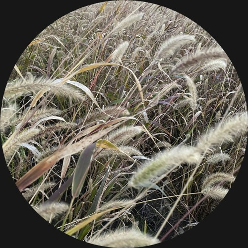 CODECAST X - 3AM - Reminiscence