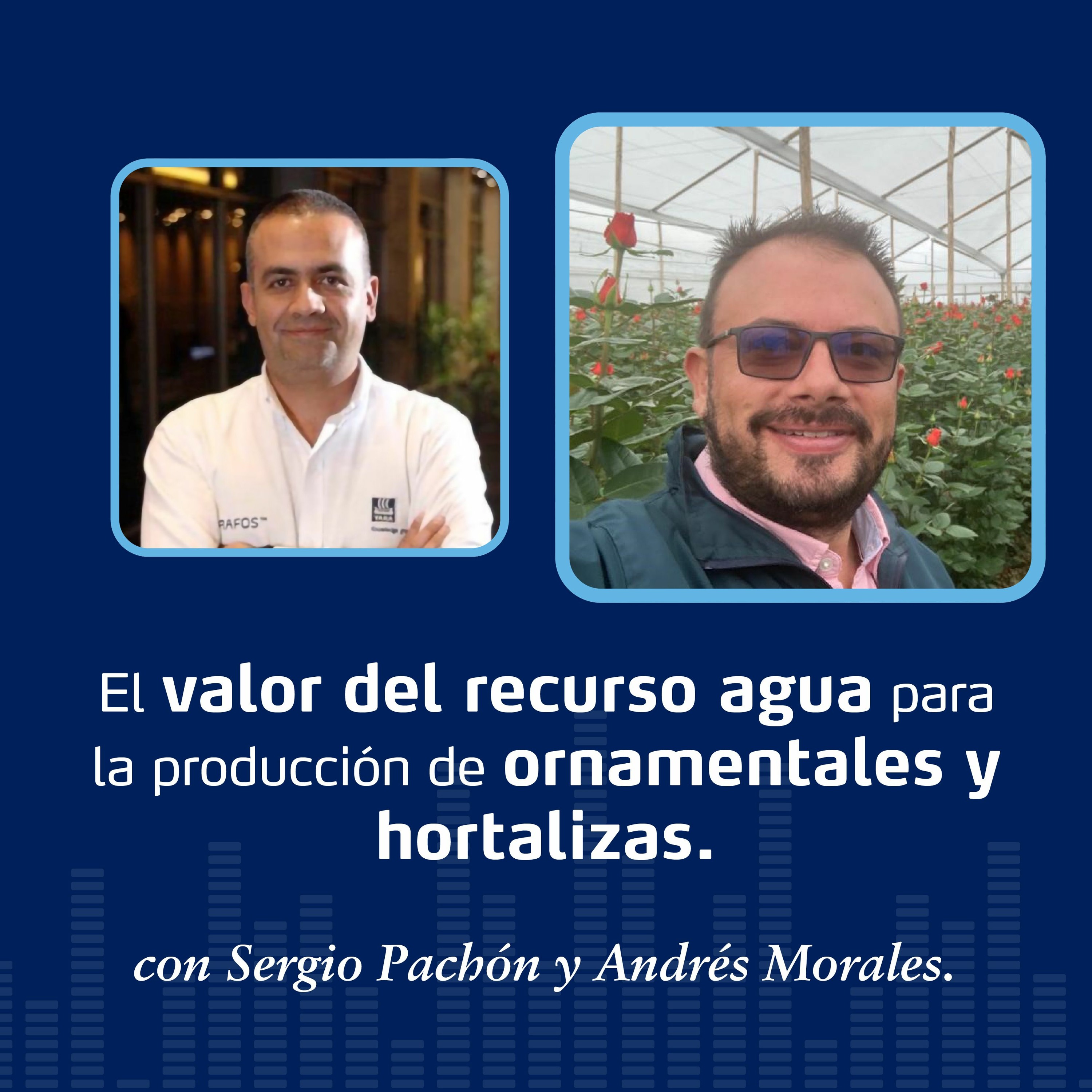 Productores Para El Futuro