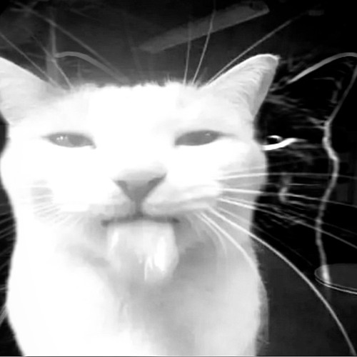 collateral damage (scottysplash)