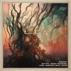 PREMIERE: Jolasol – Love Is Wise (Narcisse Remix) [ BeYond Collective ]