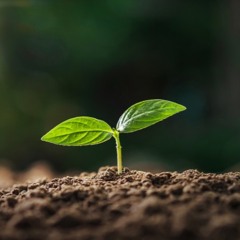 Learn & Grow🌱 - x💤muda (prod.Tobi Atich) *Un-Official Arsen*