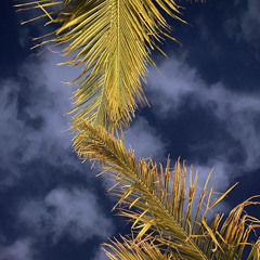 حمد السعيد X عيونك و بسمة شفاك