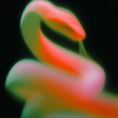 Let The Kidz.⍣Have Some Fun