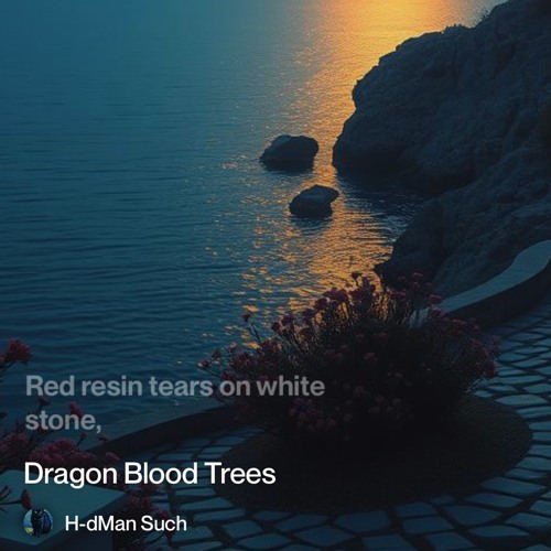 dragon-blood-trees 3.