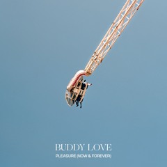 Buddy Love - Pleasure, Now & Forever