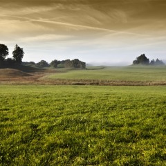 RPG Field Overworld Theme "Grassy Plains" Royalty Free Music