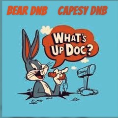 LOONEY TUNES DUB