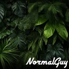 Normal Guy - Swanky MixTape