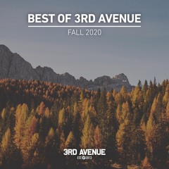 Best Of 3rd Avenue | Fall 2020