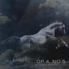 Piano Sonata No.2, Op.4, No.5 ('Summer's Eve')