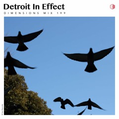DIM199 - Detroit In Effect
