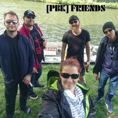 Friends TEKK - Remix By PLATTENBAUKIND