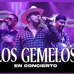 Los Gemelos De Sinaloa - No Le Aflojo (En VIVO)